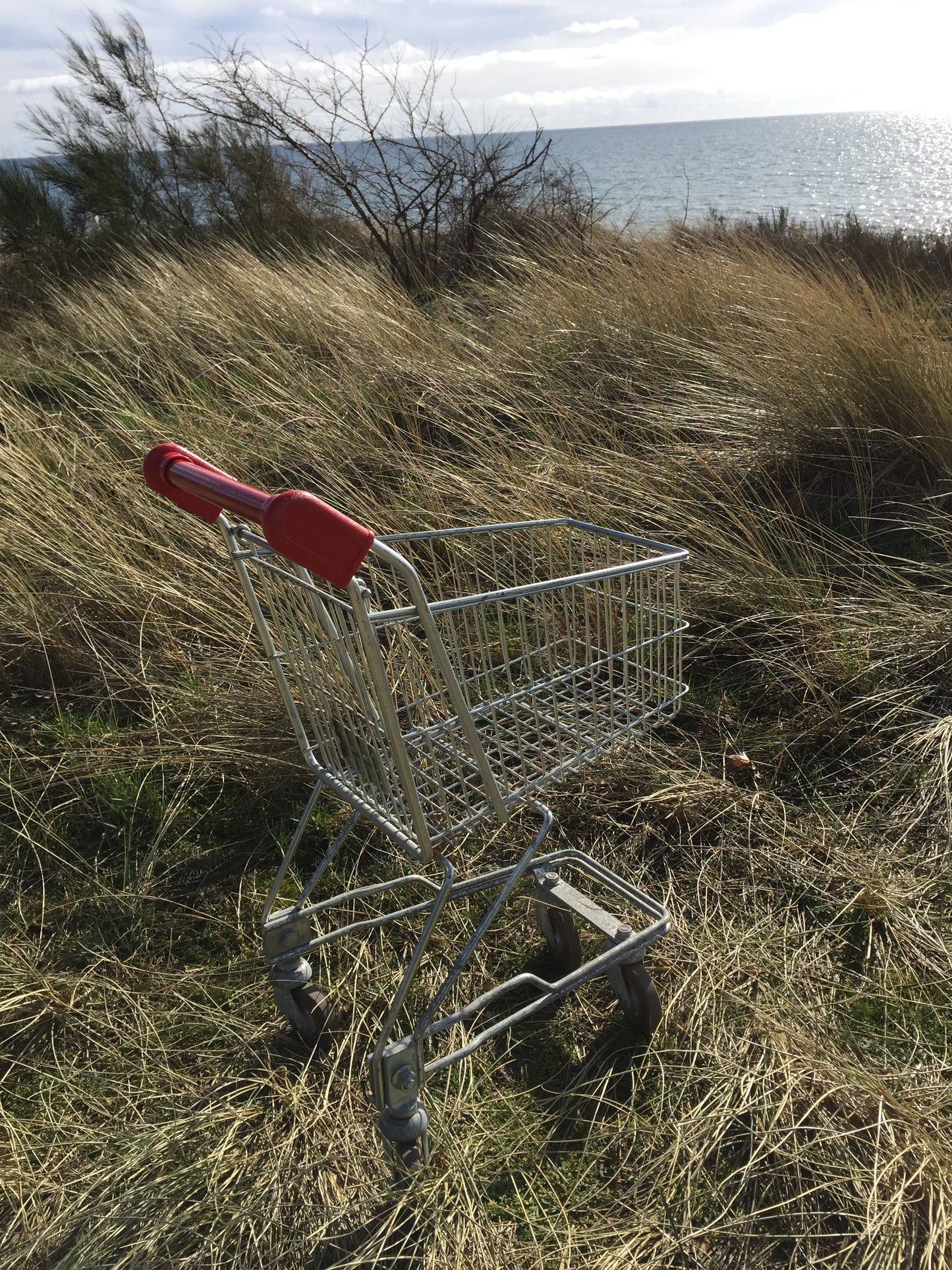 Fin shoppingvagn för barn