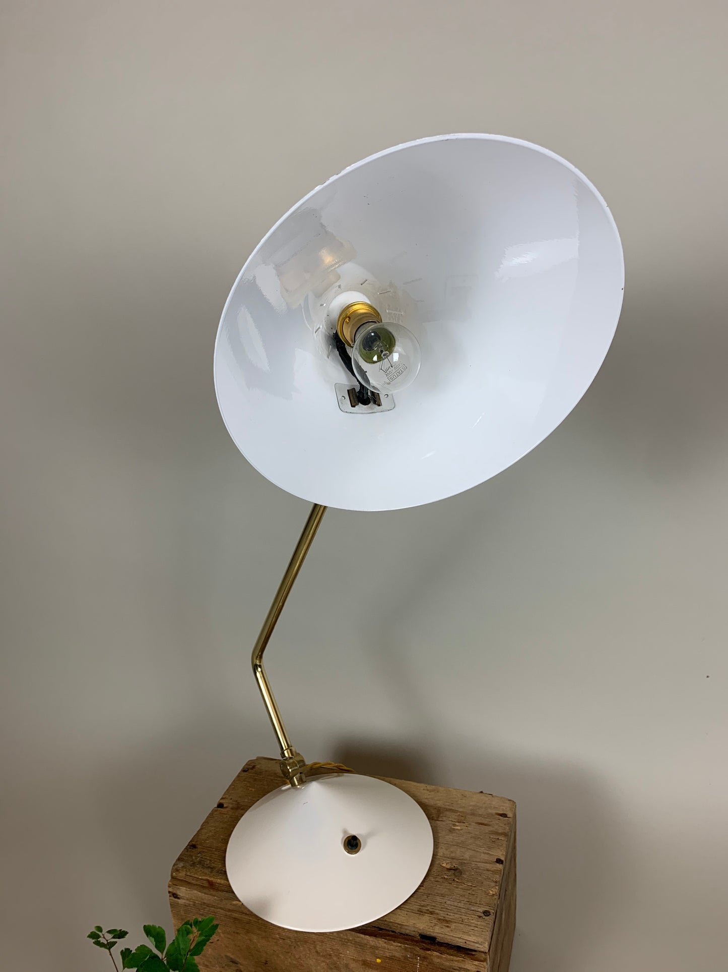 Hala bordslampa - Vit och mässing