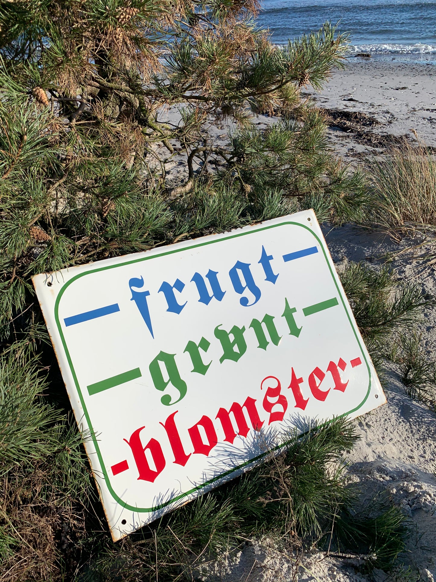 Stor emaljskylt - frukt, grönsaker och blommor
