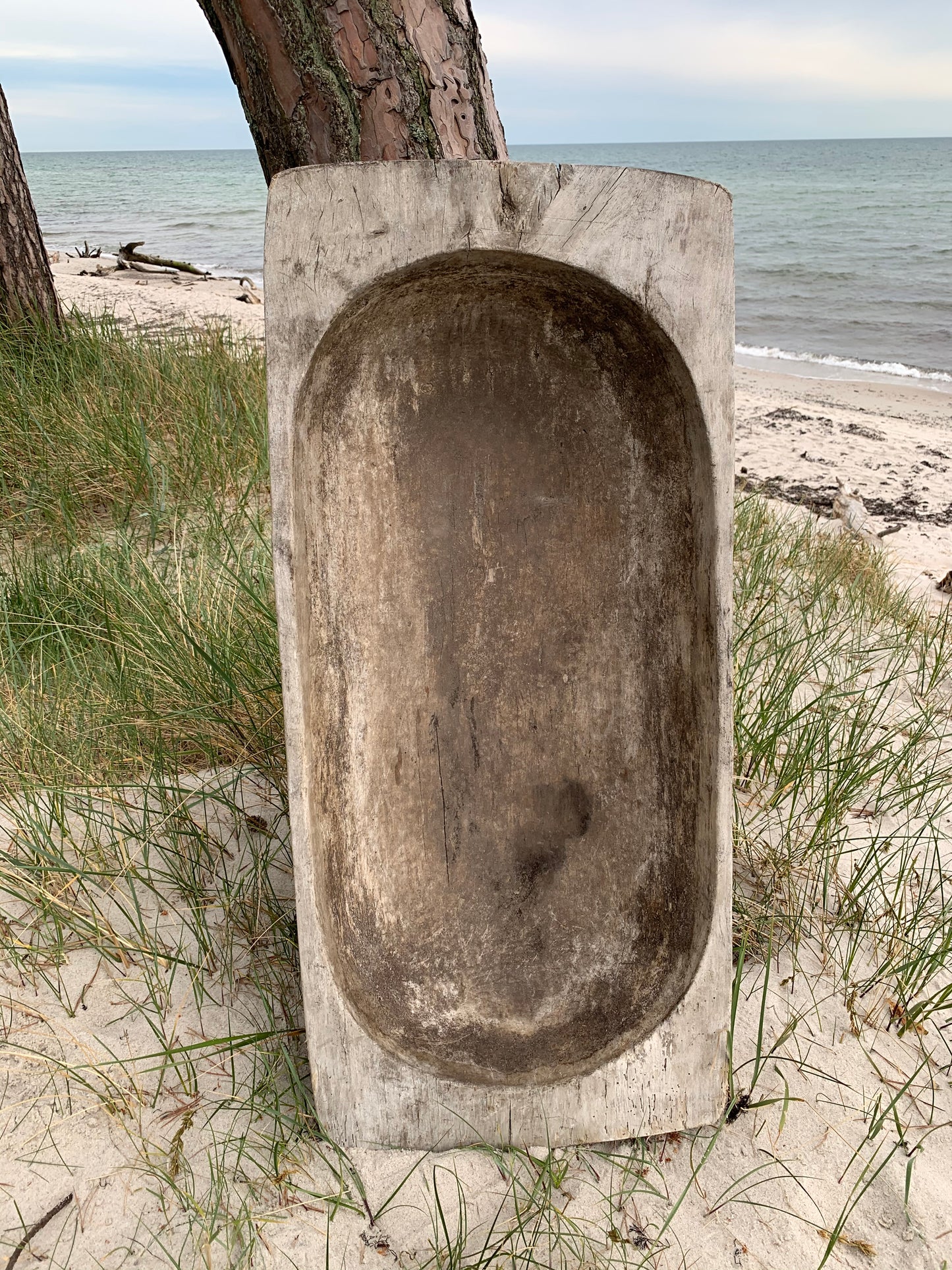 Stor sula eller sula med mycket patina