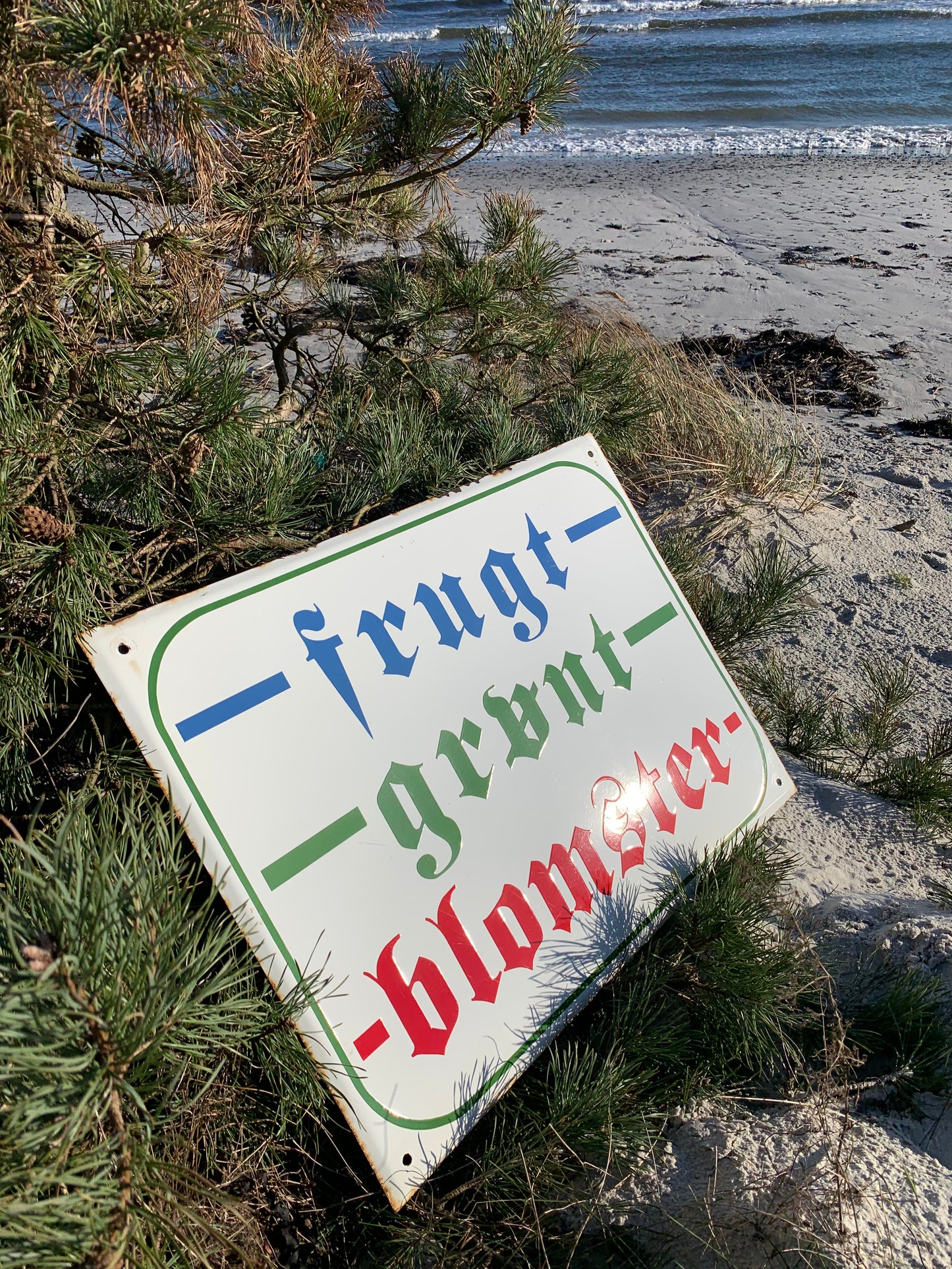 Stor emaljskylt - frukt, grönsaker och blommor