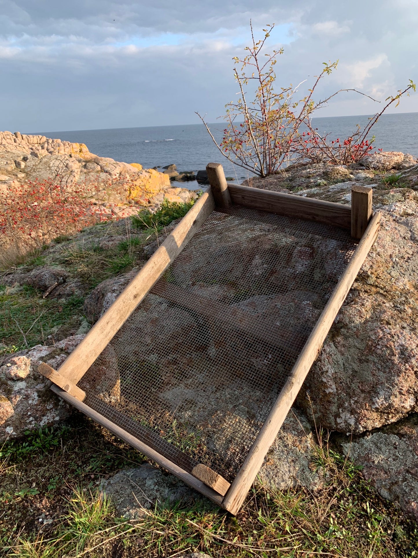 Löklåda med vacker patina