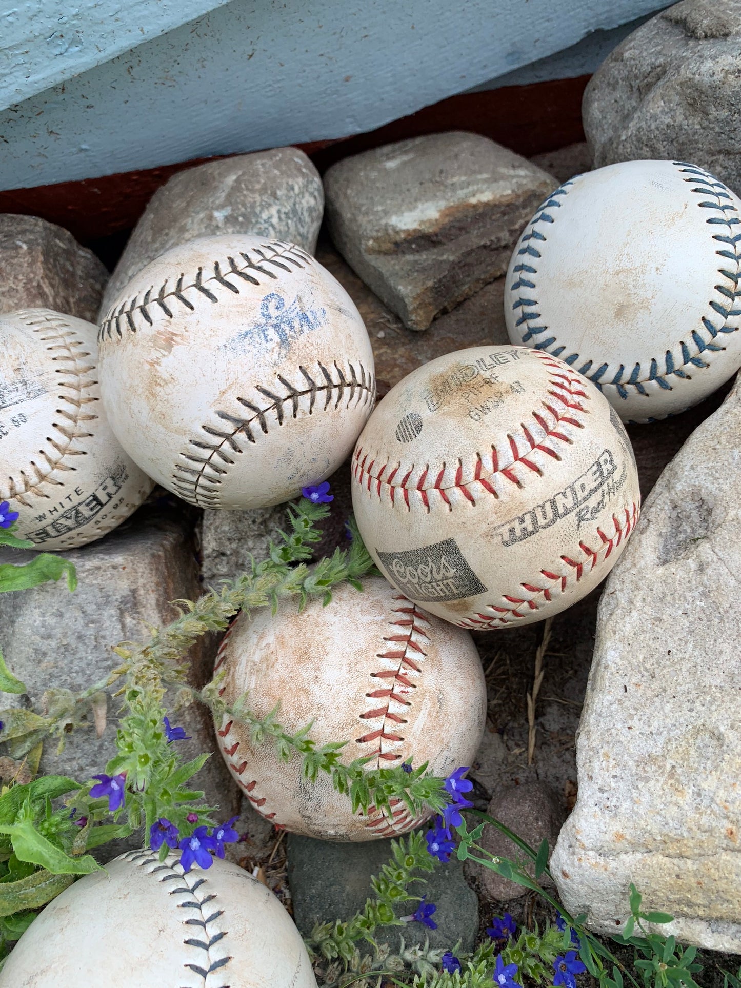 Baseboll
