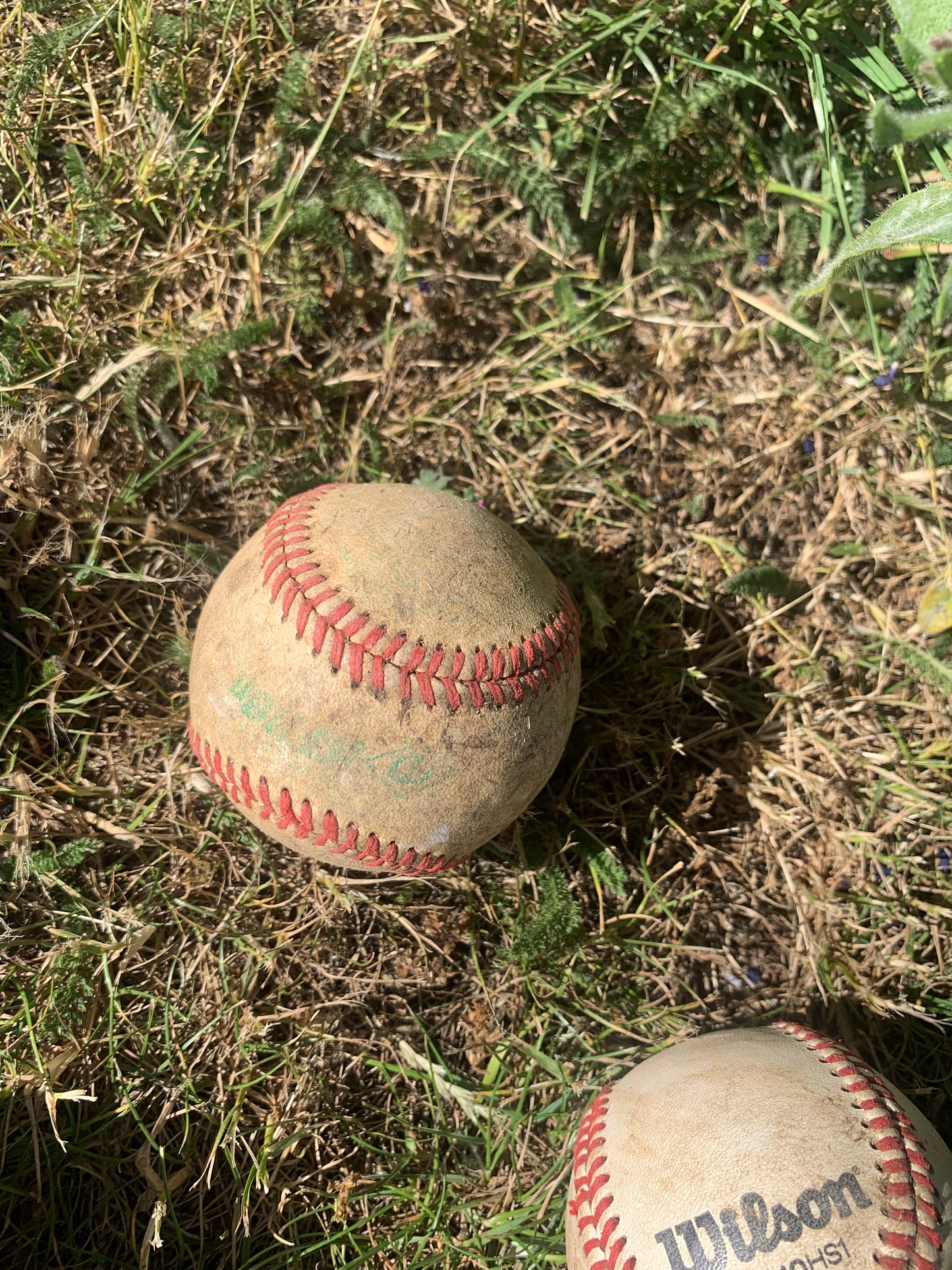 Baseboll