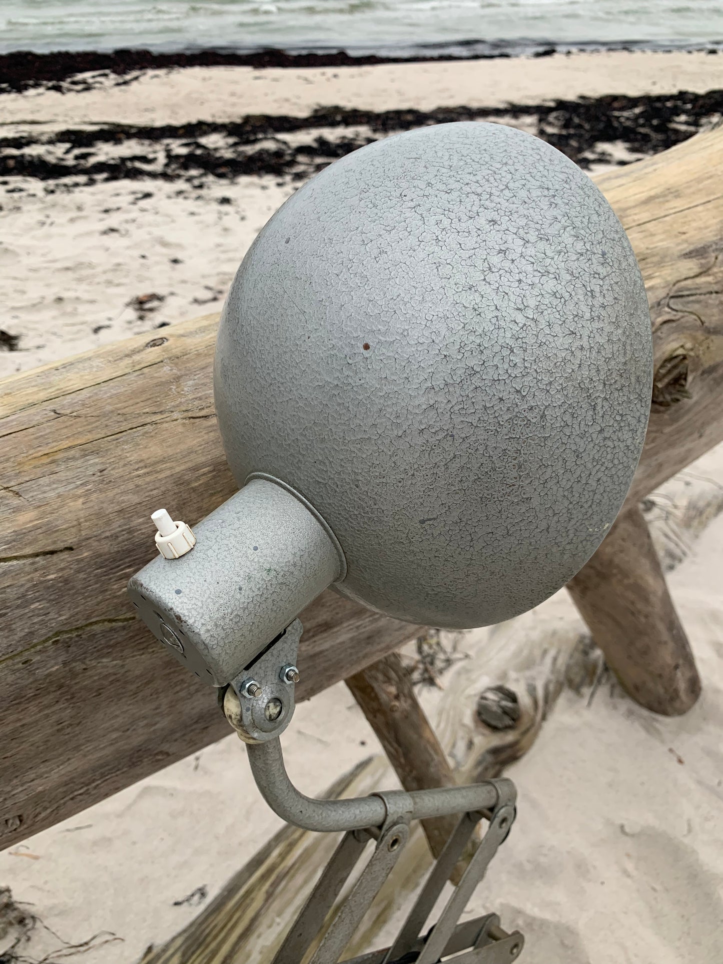 Saxlampa - Grå hammarlack