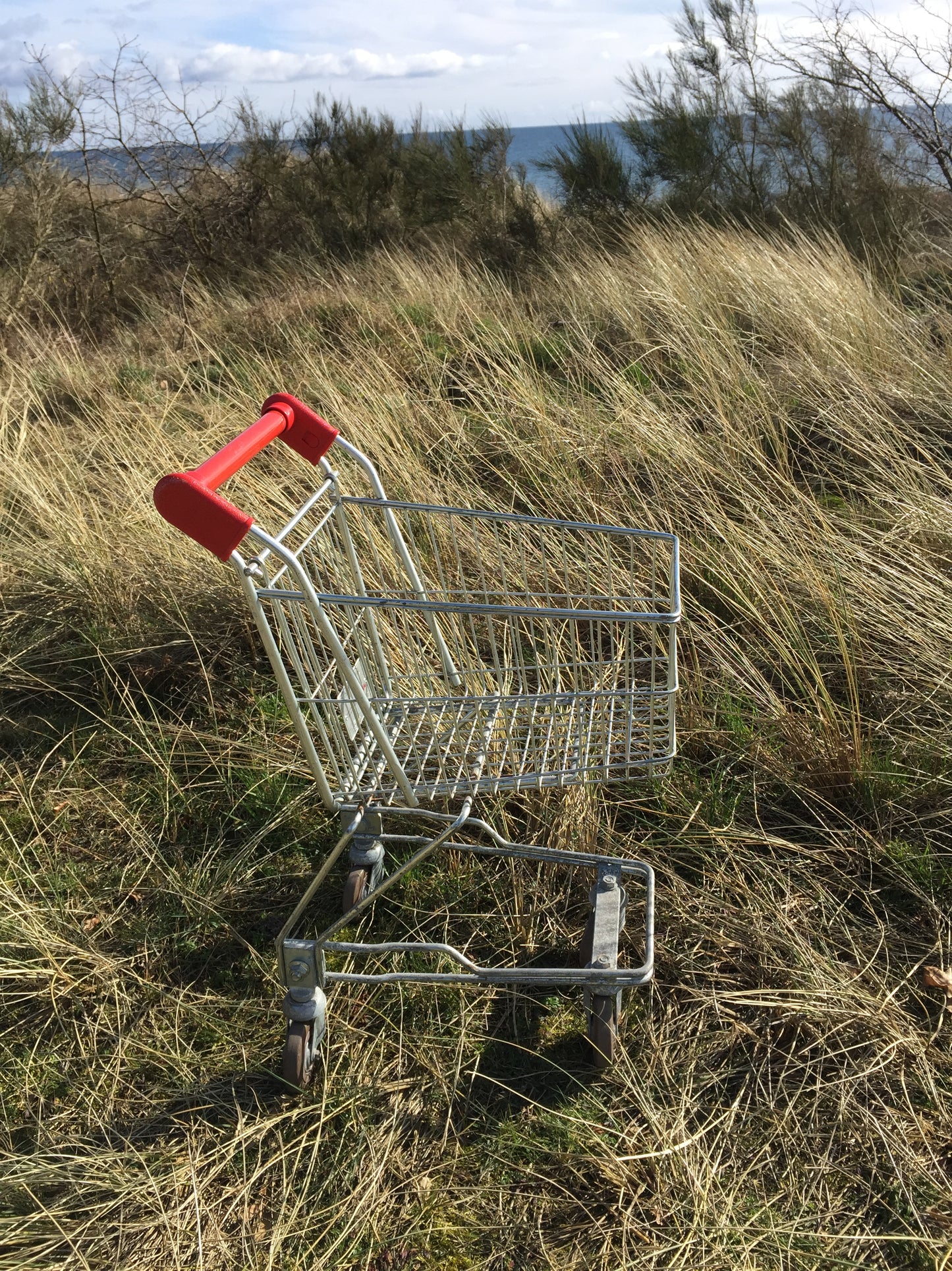 Fin shoppingvagn för barn