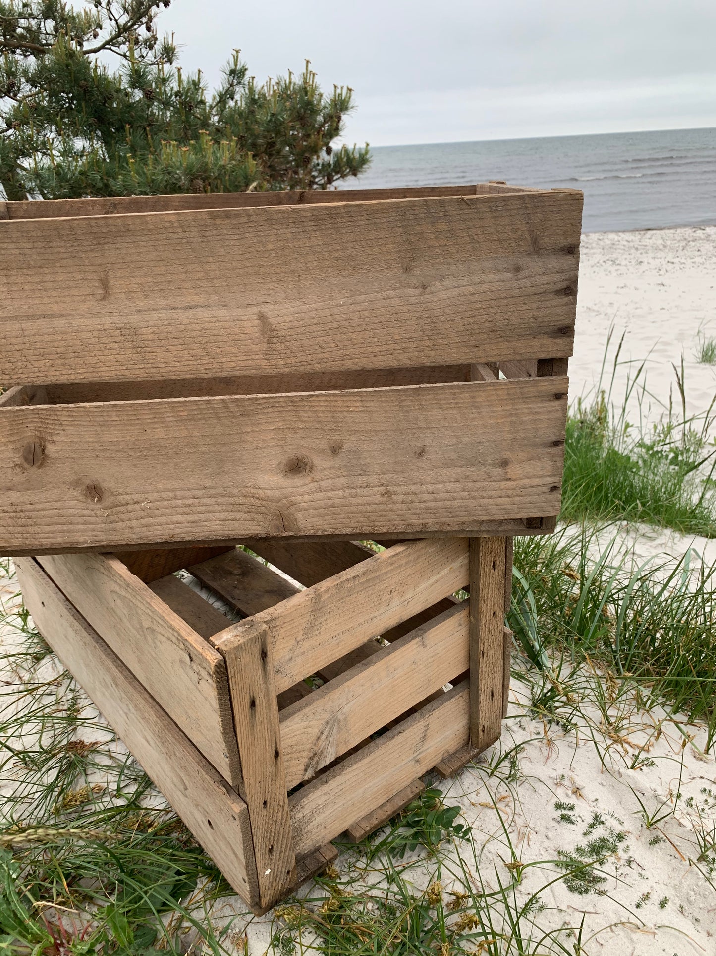 Fruktlåda