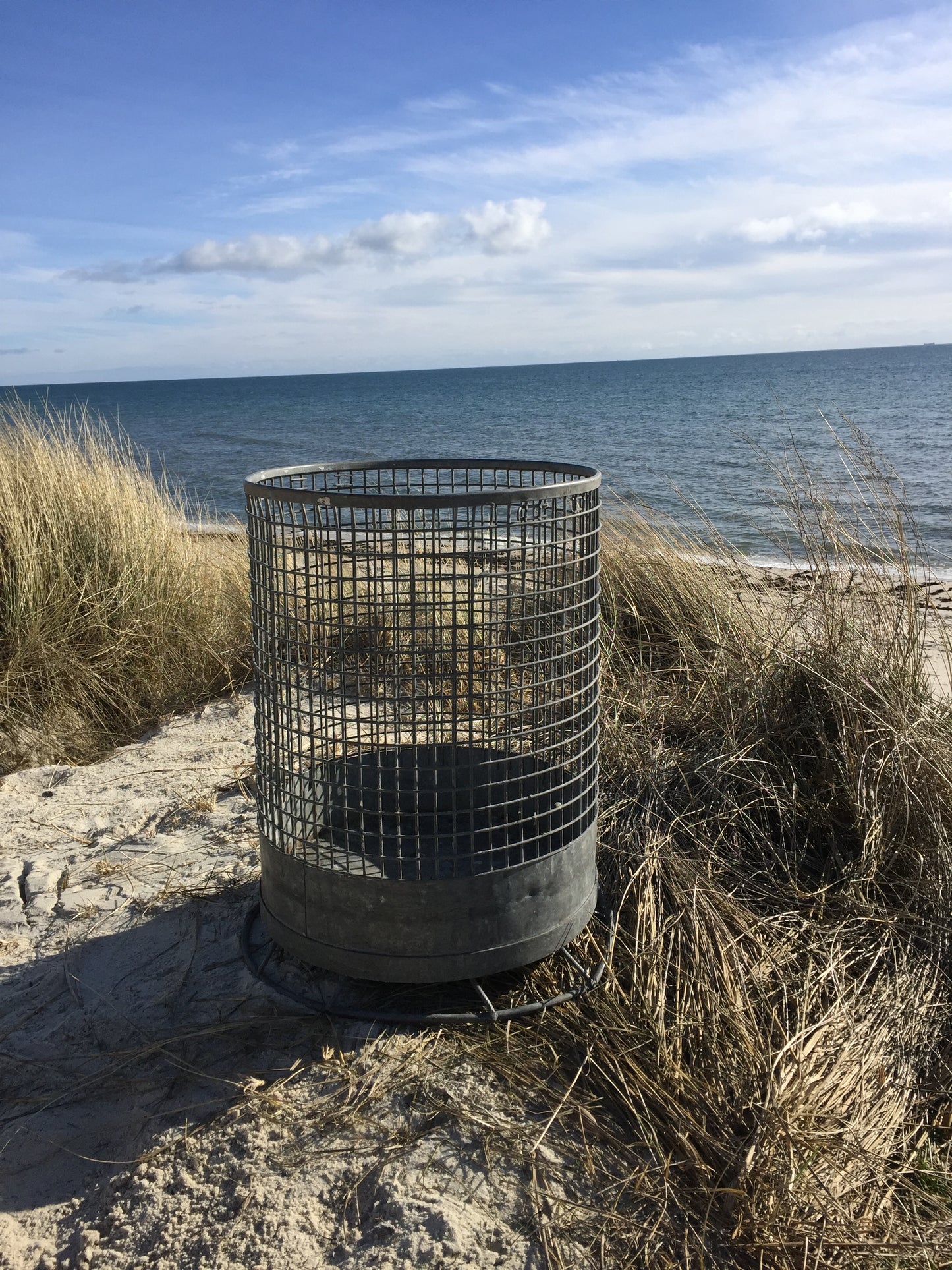 Stor skönhet rå och rund