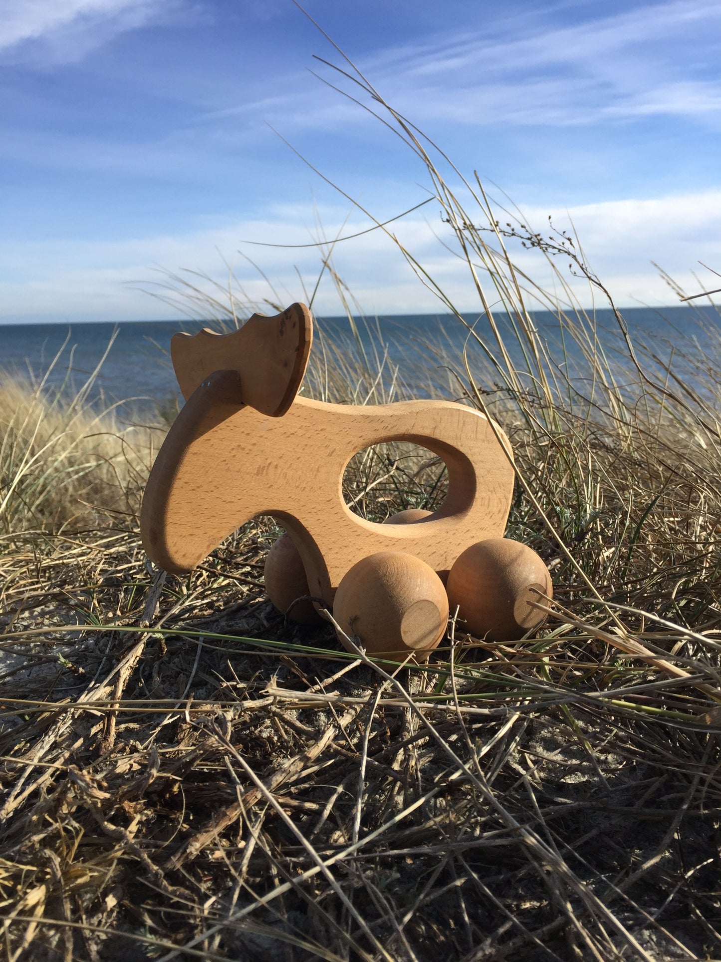 Vacker älg från Sverige