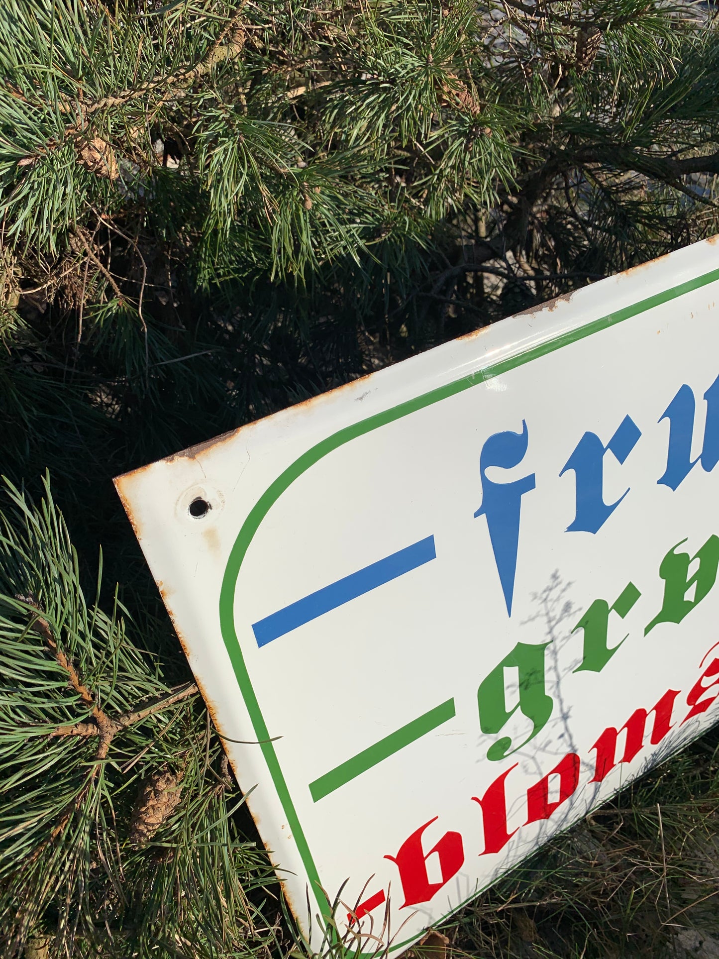 Stor emaljskylt - frukt, grönsaker och blommor