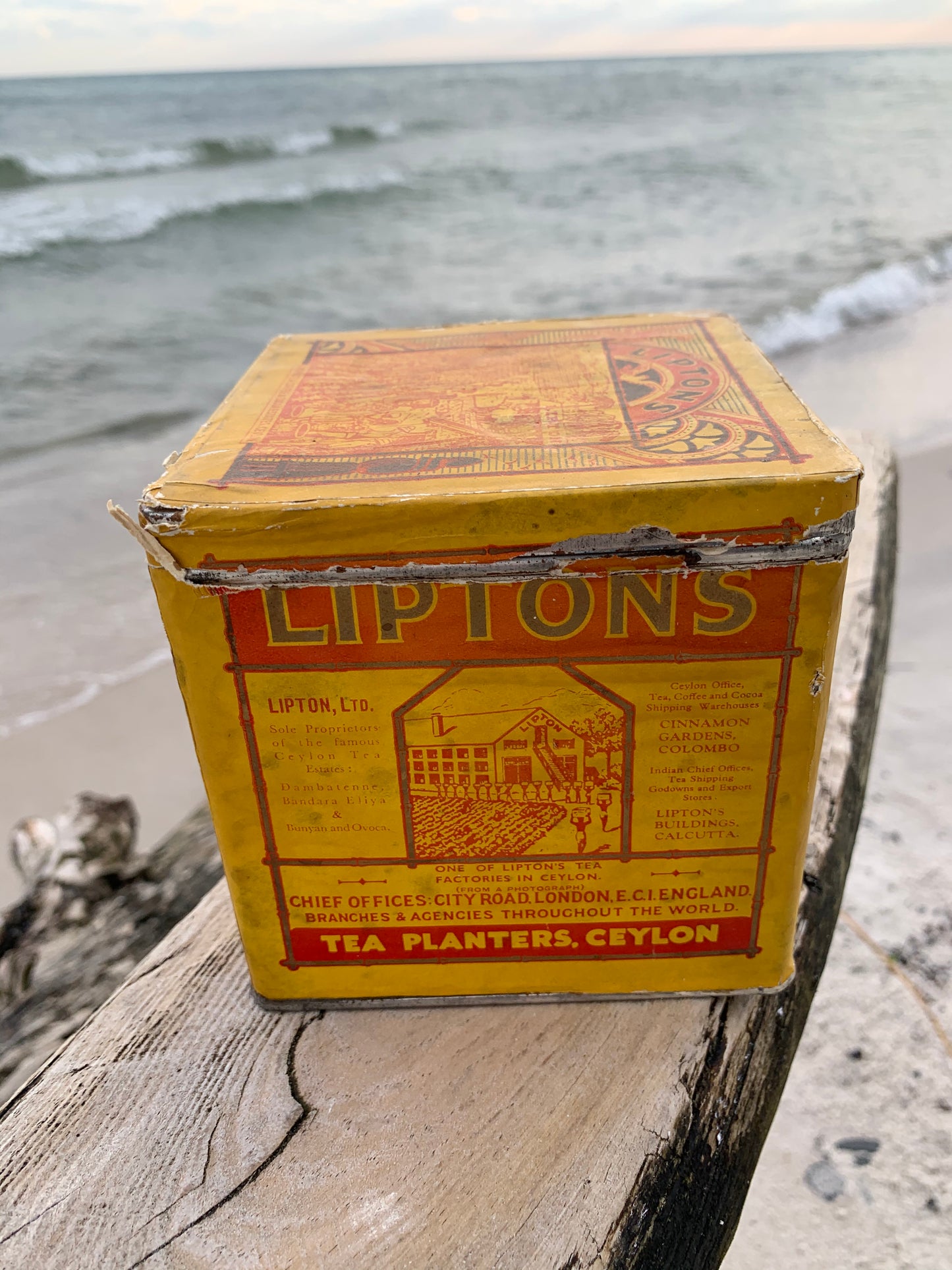 Lipton teburk