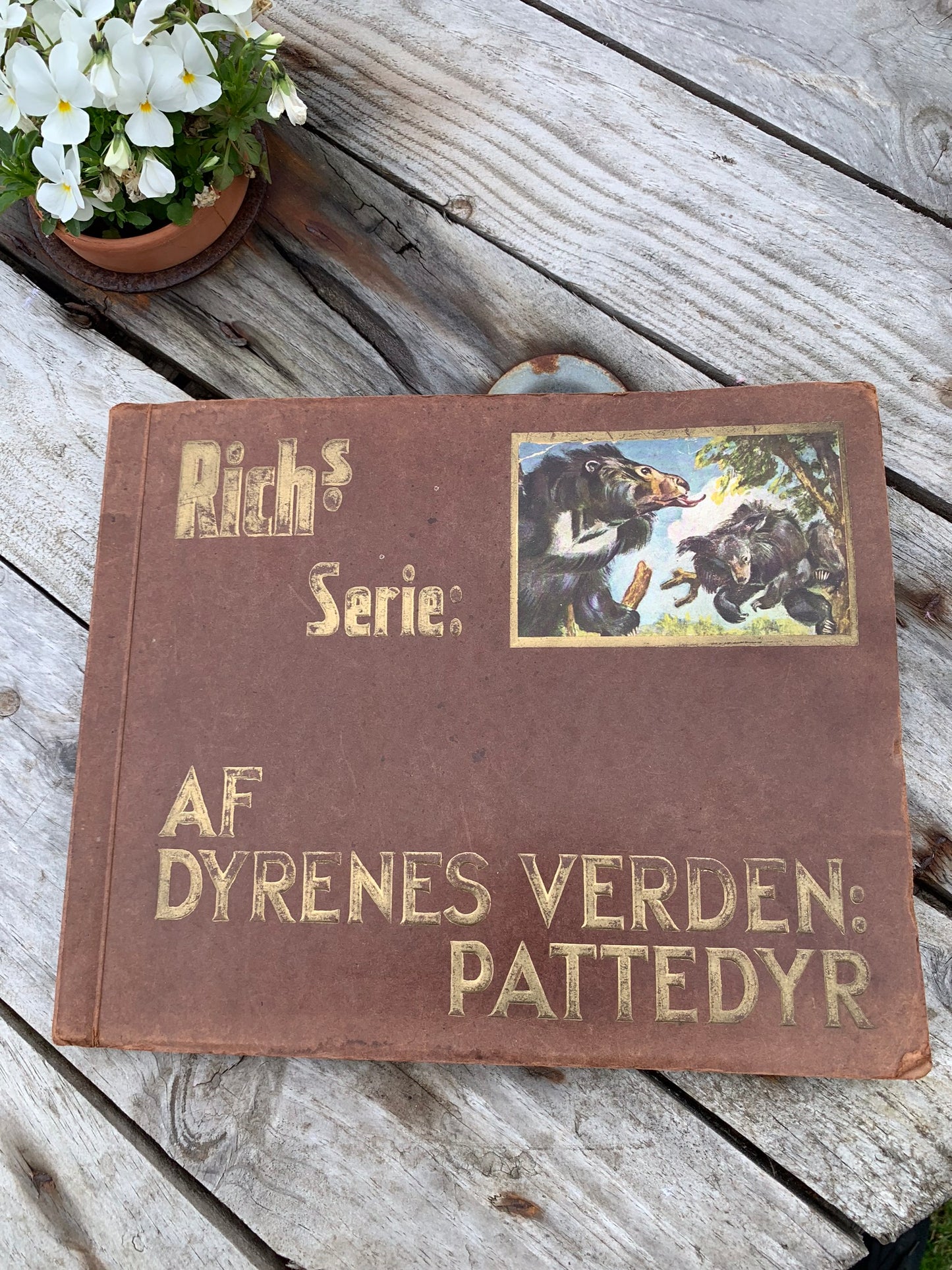 Rich's Animal World samlingsalbum (däggdjur)