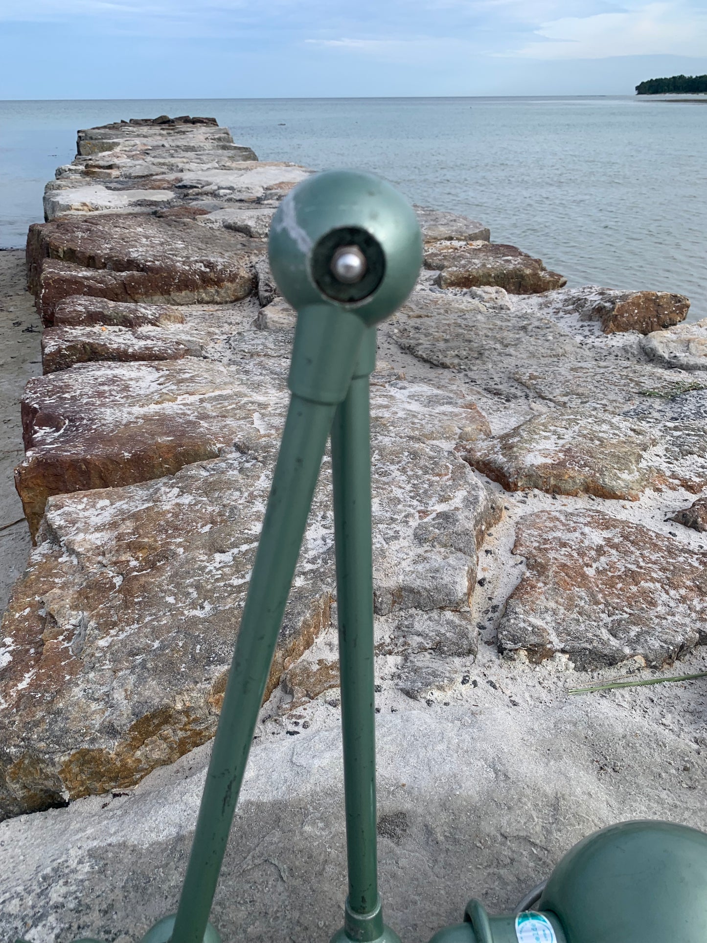 Jieldé vägg-/taklampa med två armar - Grön