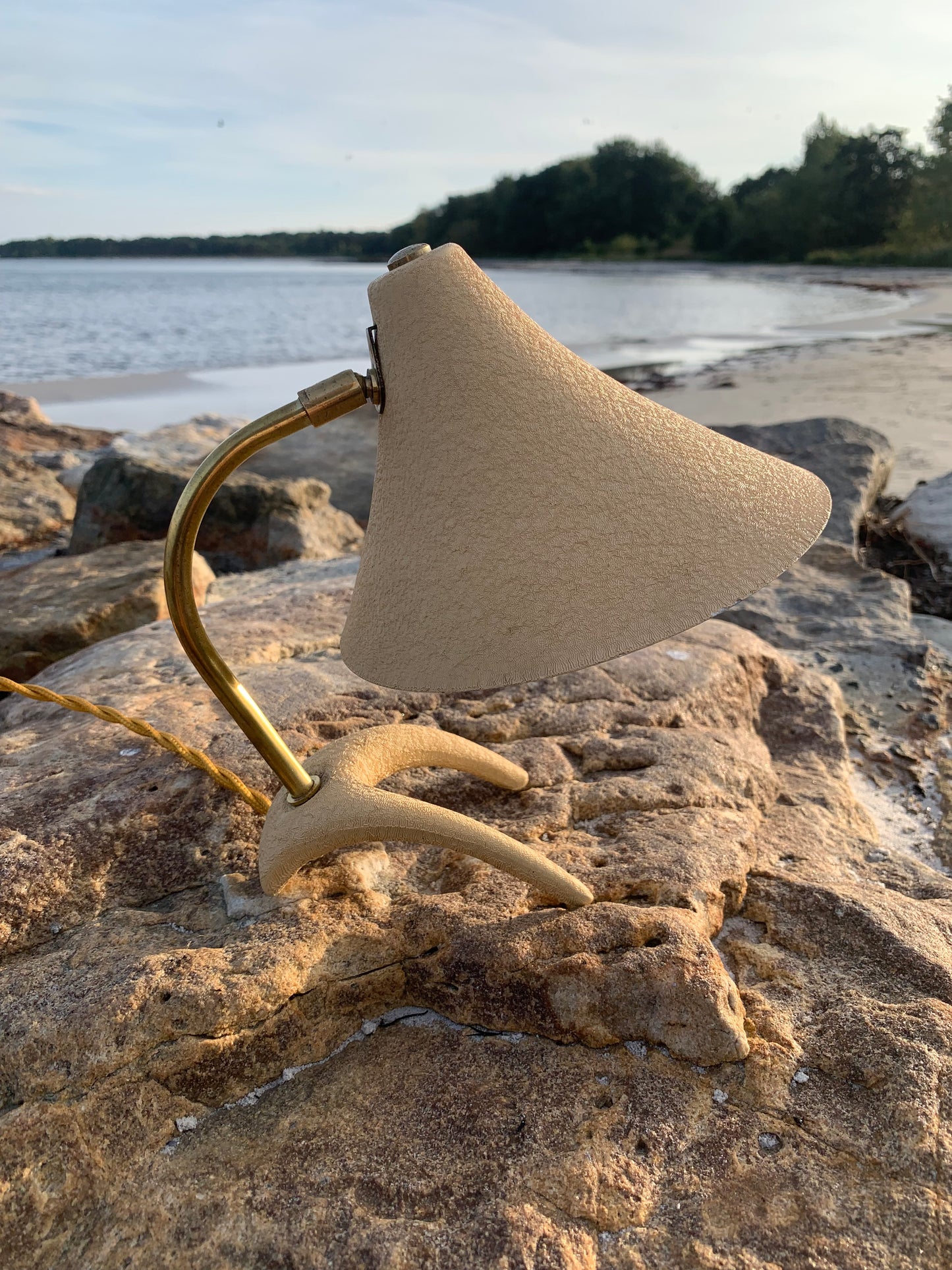 Kosackkråkfot mini