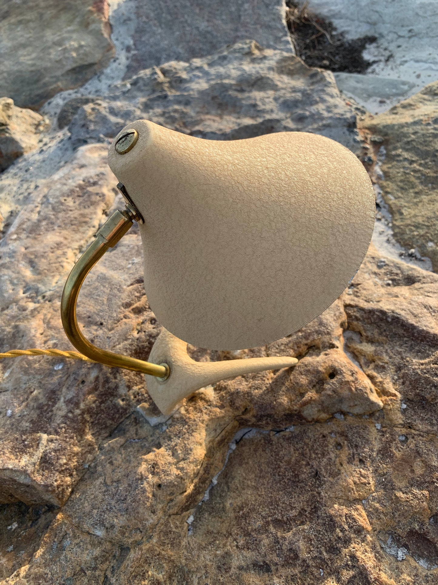 Kosackkråkfot mini