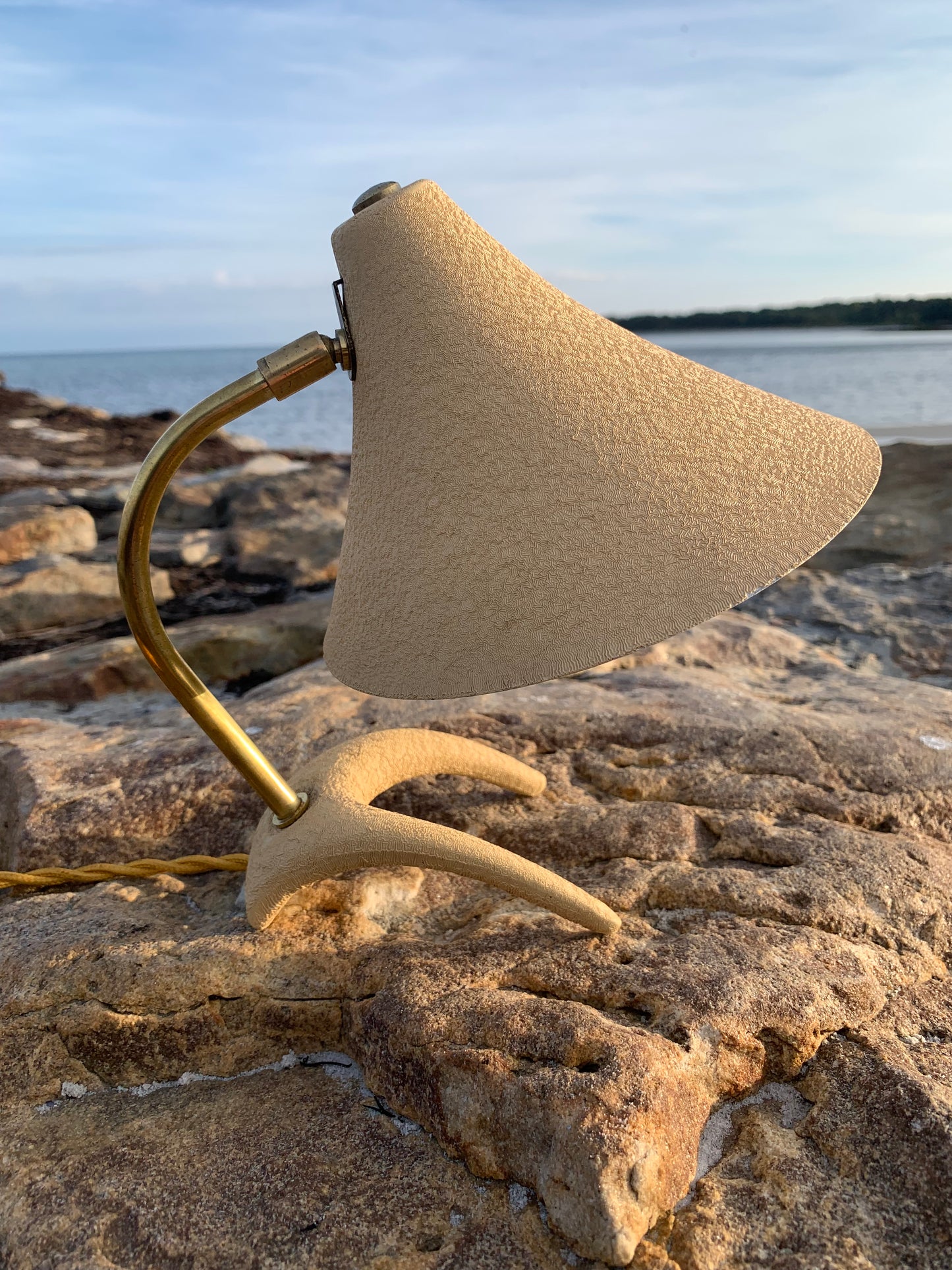 Kosackkråkfot mini
