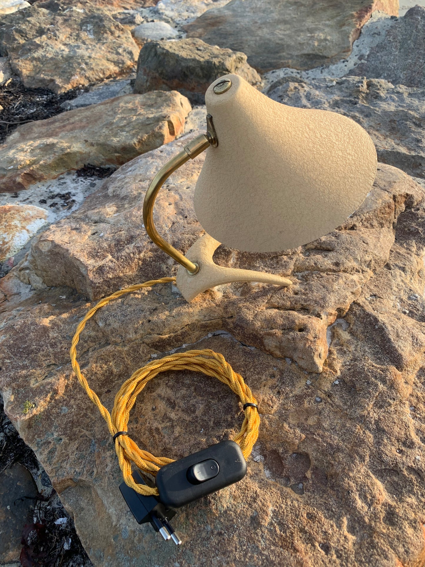 Kosackkråkfot mini