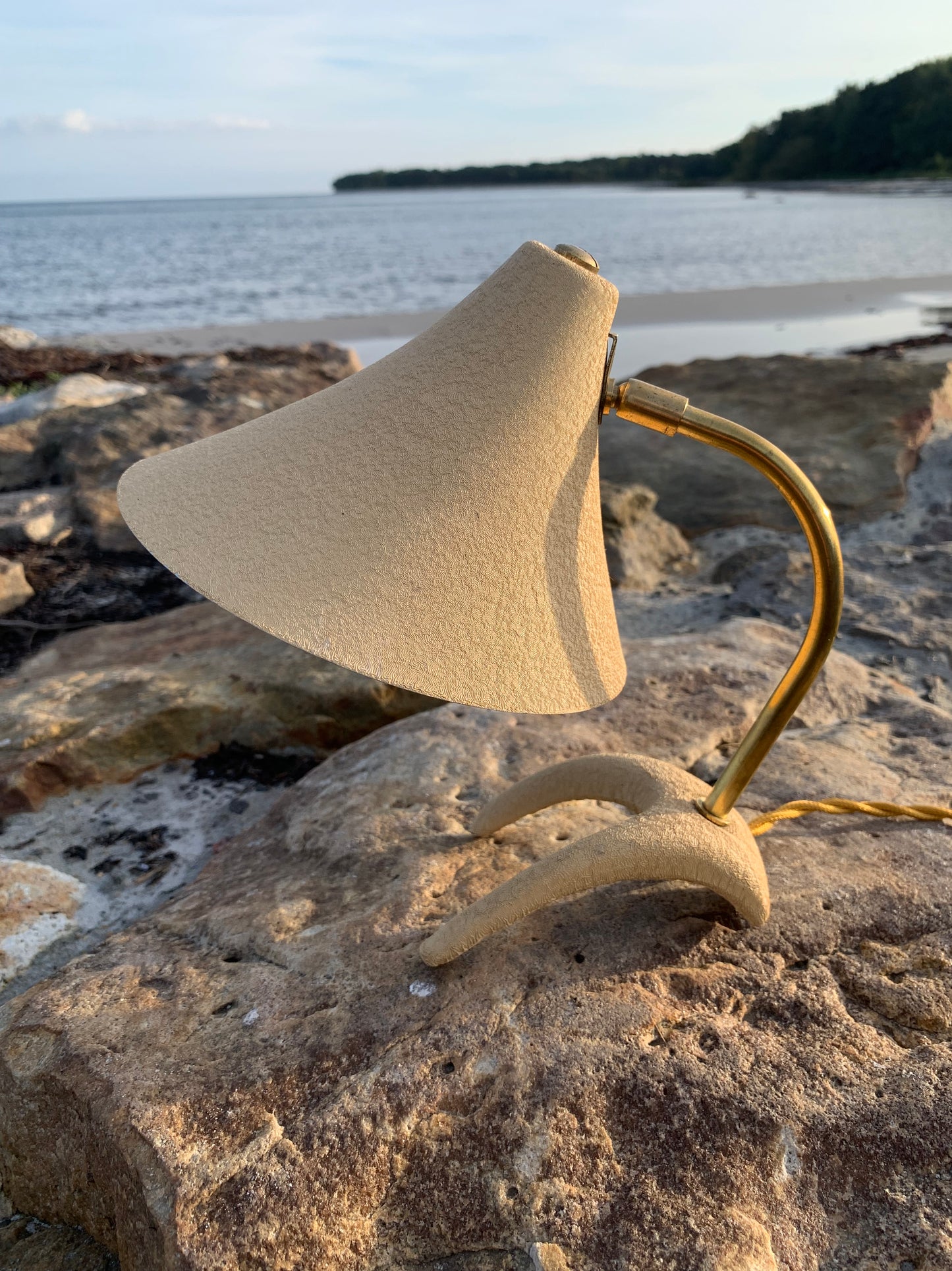 Kosackkråkfot mini