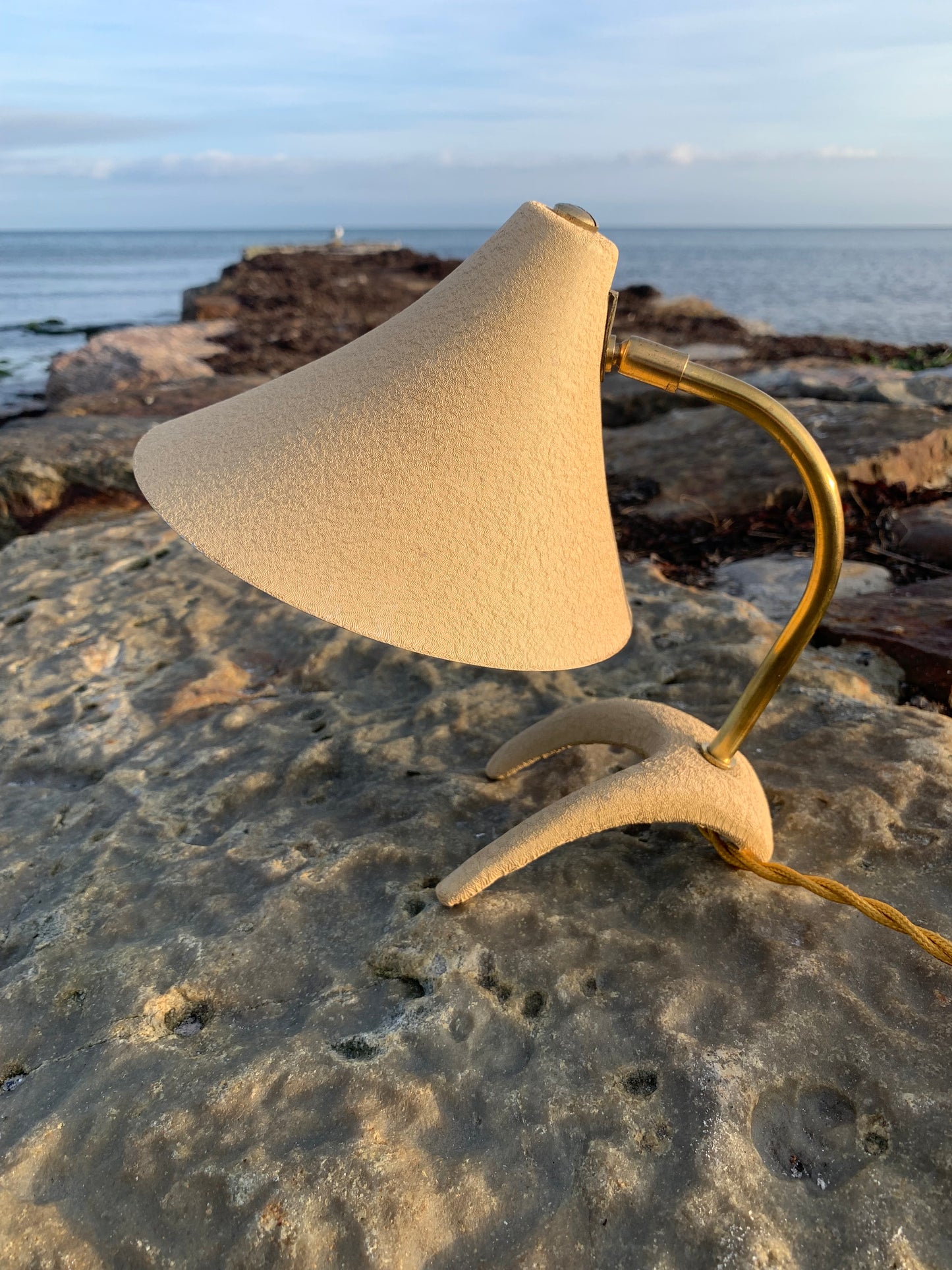 Kosackkråkfot mini