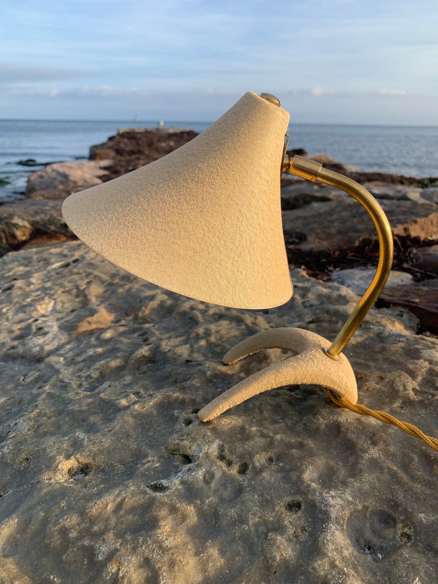 Kosackkråkfot mini
