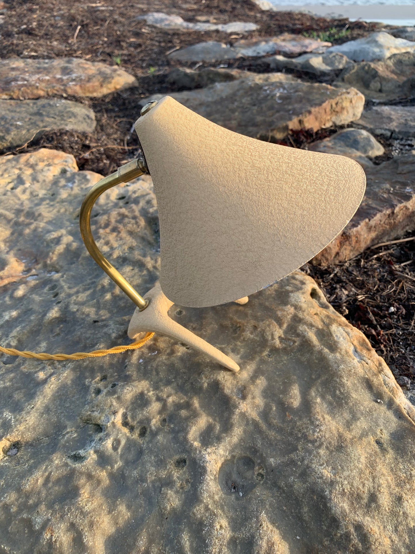 Kosackkråkfot mini
