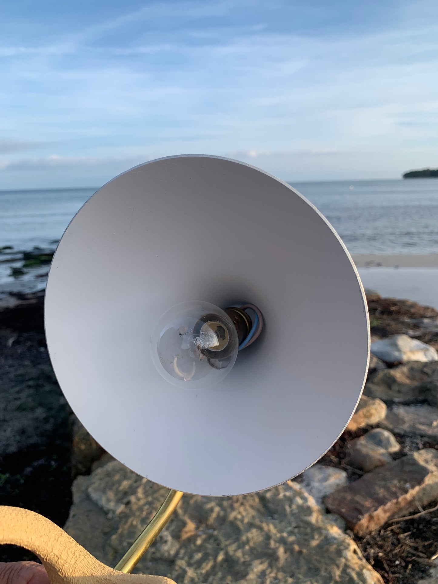 Kosackkråkfot mini