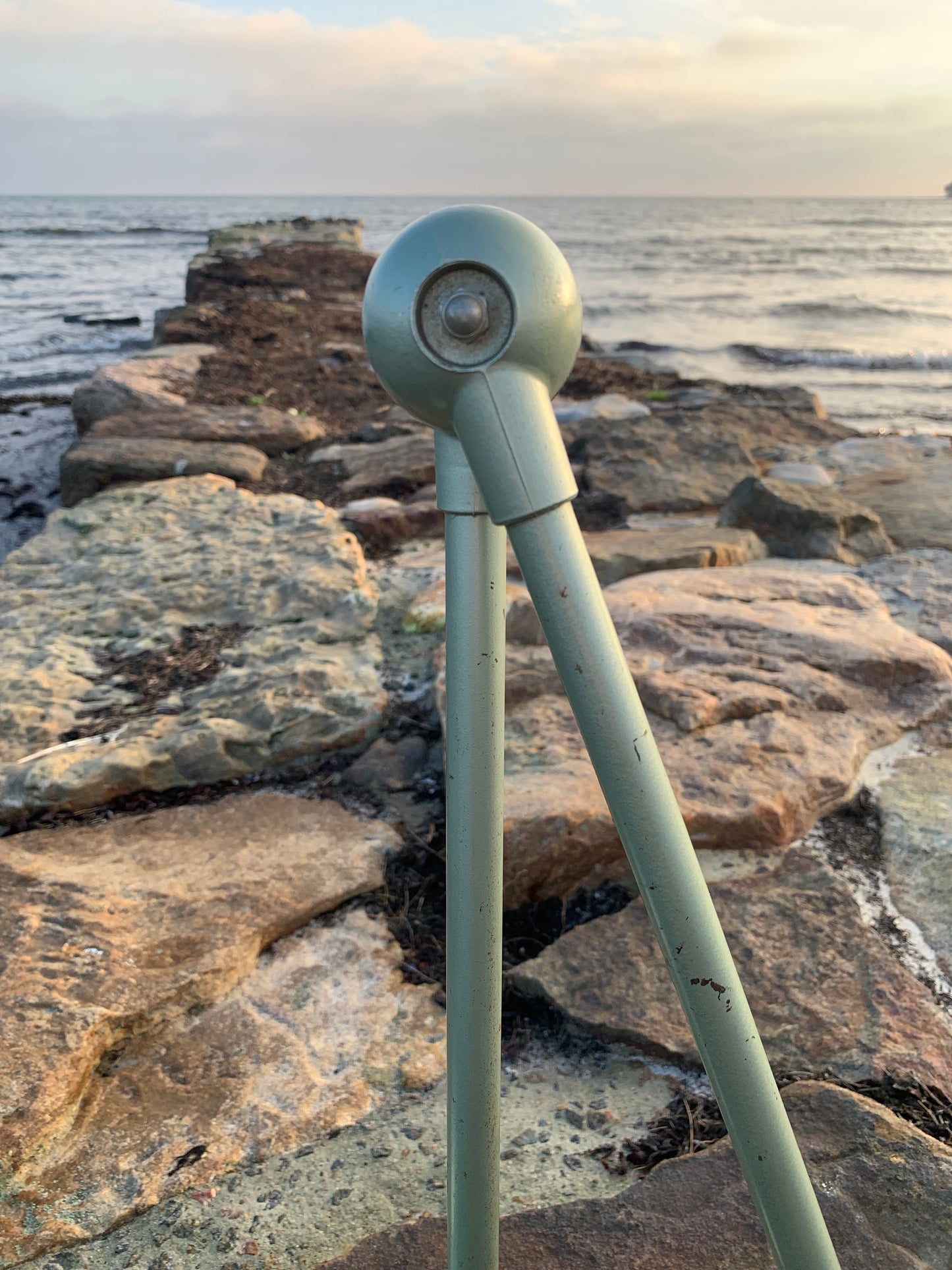 Jieldé vägg-/taklampa med två armar - Grön