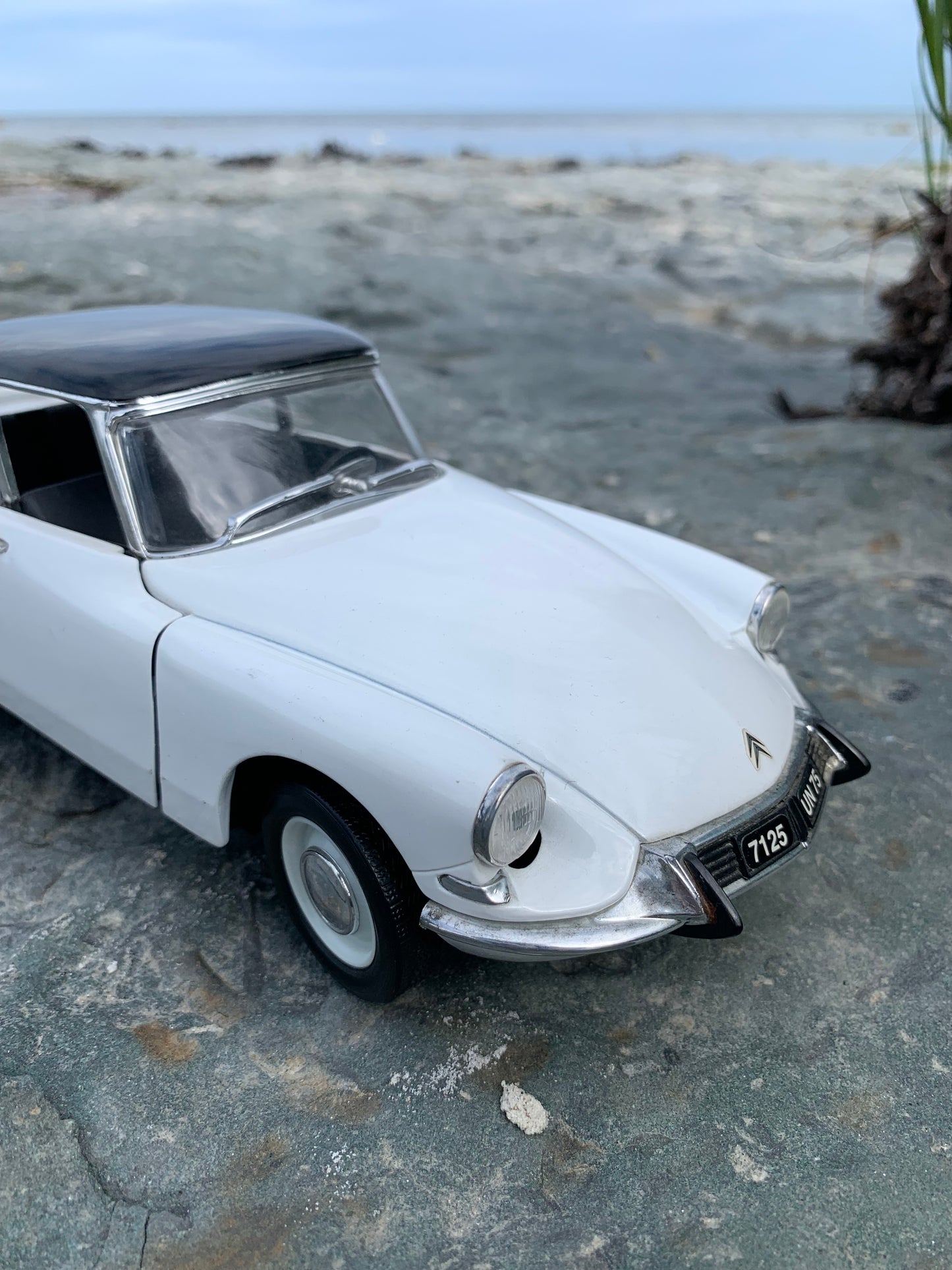 Citroën DS 19 - 1963