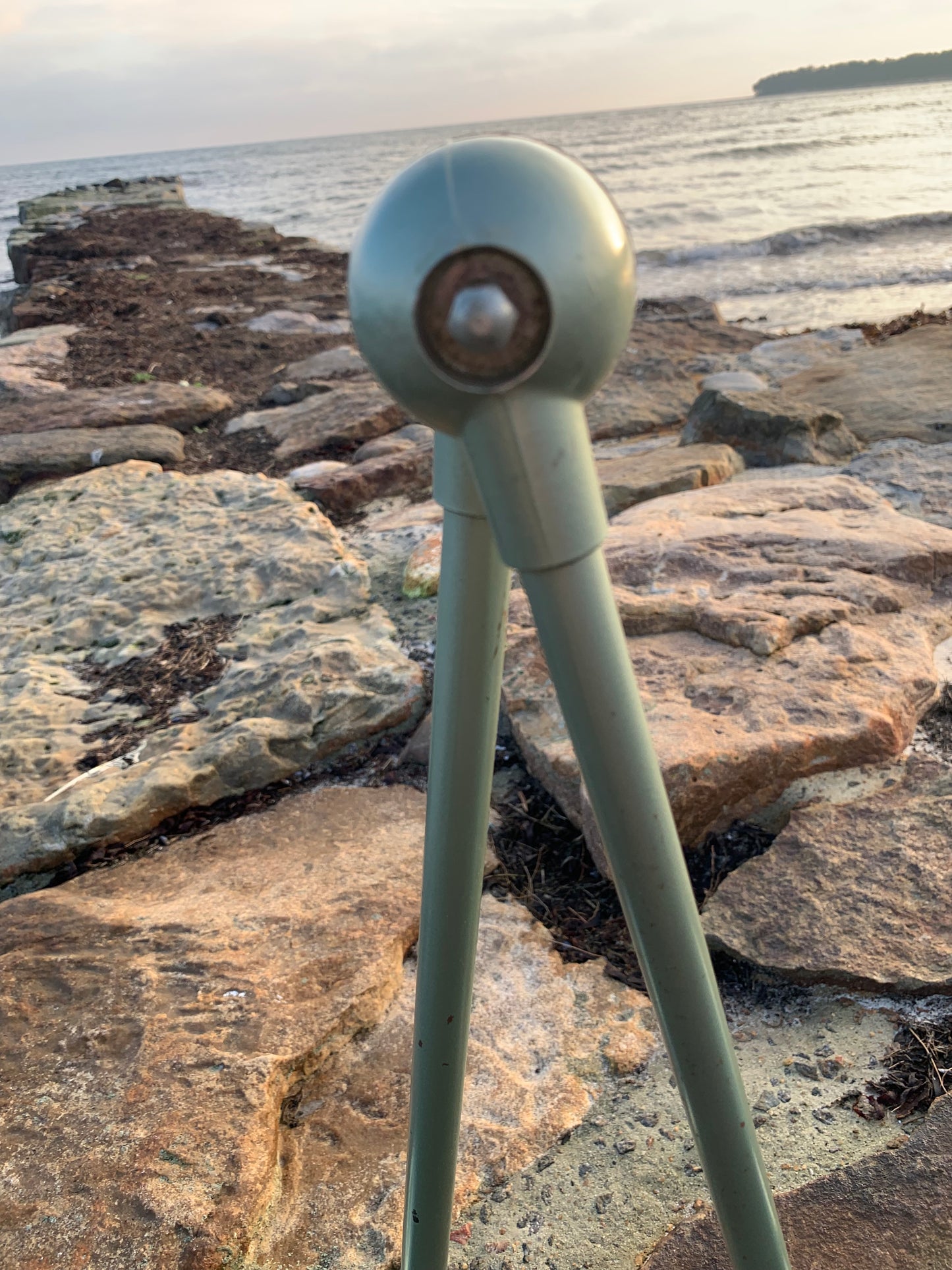 Jieldé vägg-/taklampa med två armar - Grön