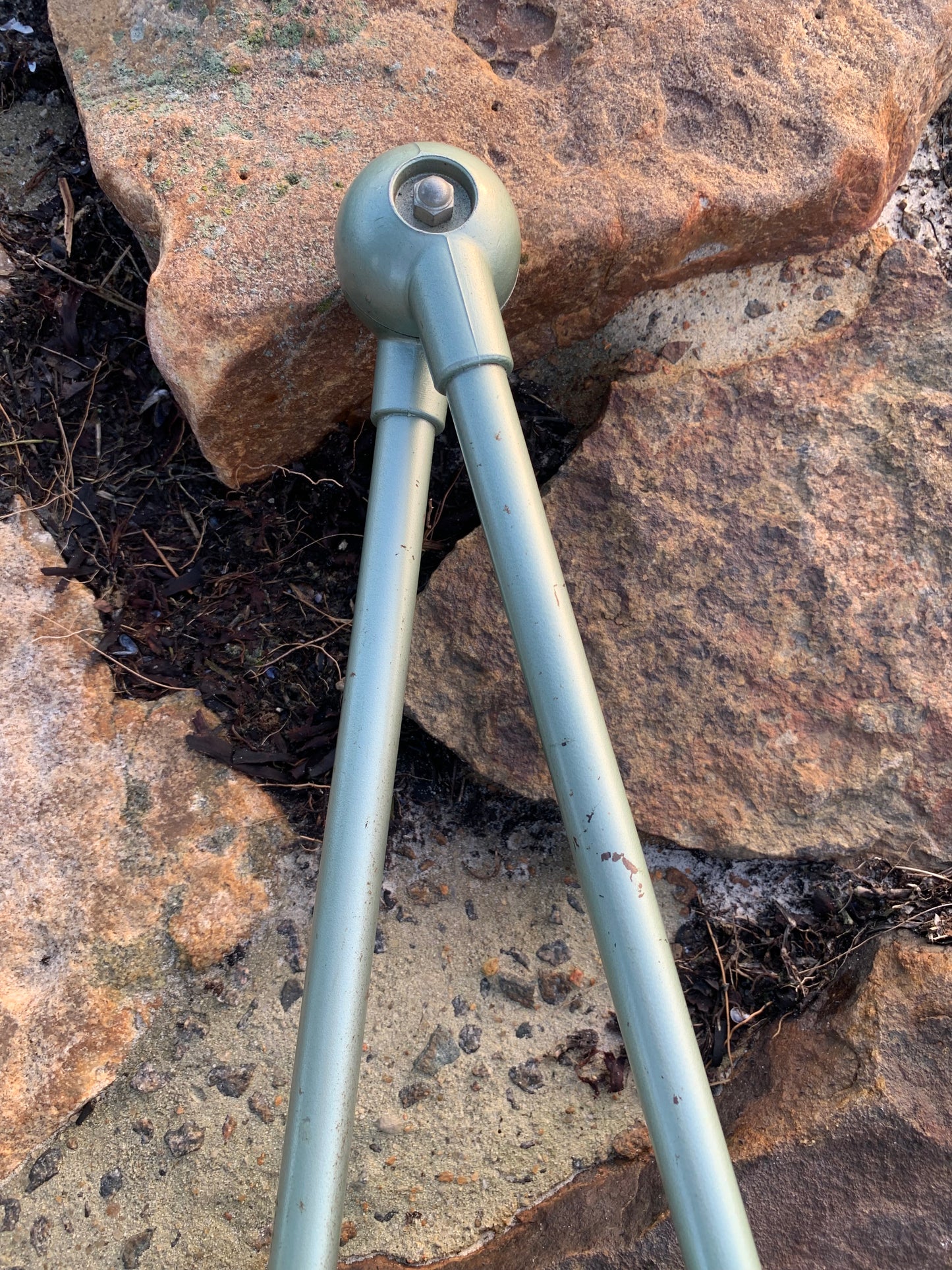 Jieldé vägg-/taklampa med två armar - Grön