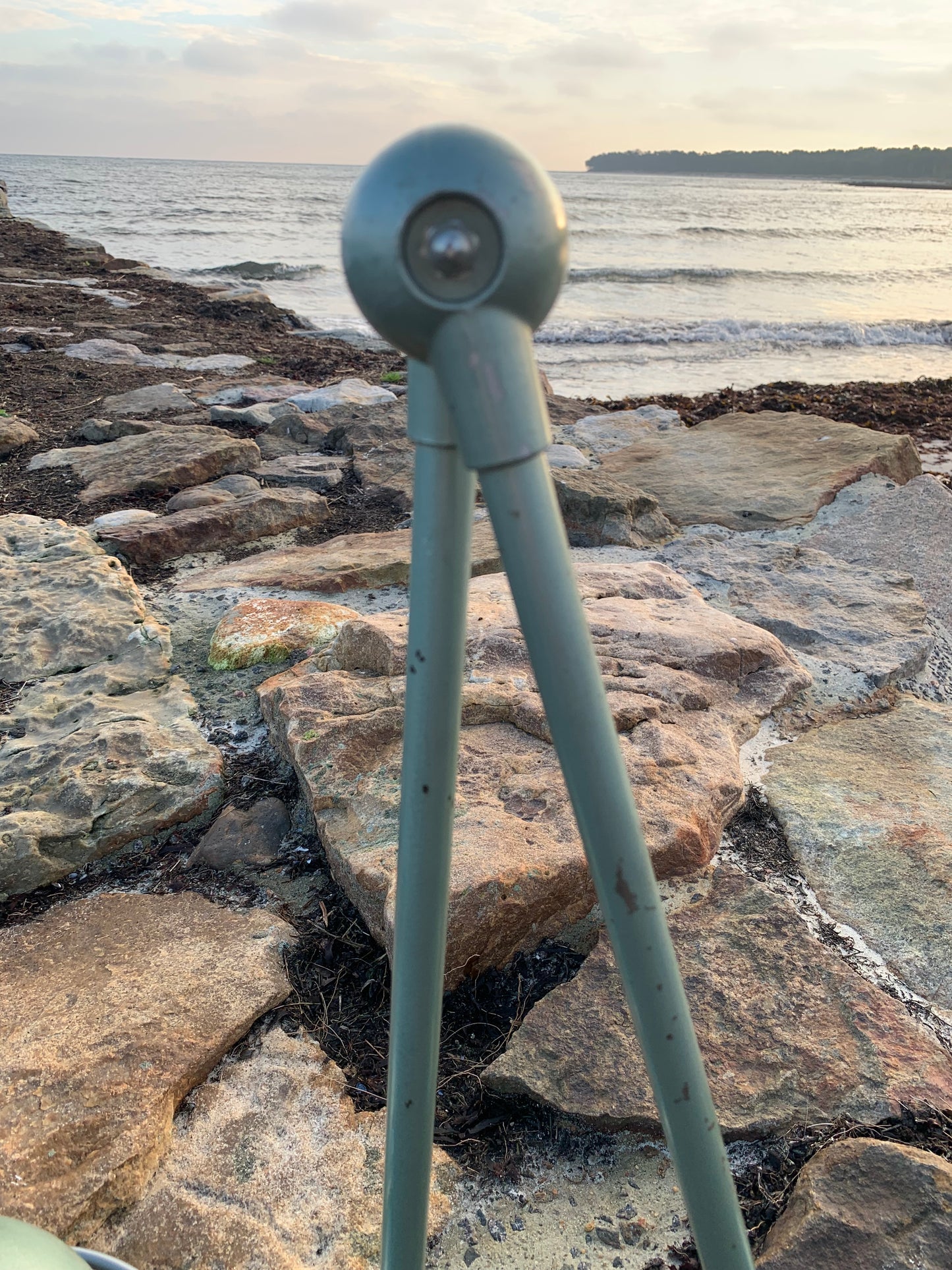 Jieldé vägg-/taklampa med två armar - Grön