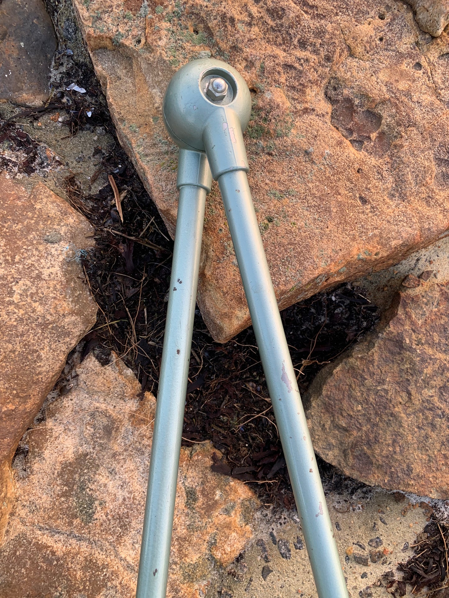 Jieldé vägg-/taklampa med två armar - Grön