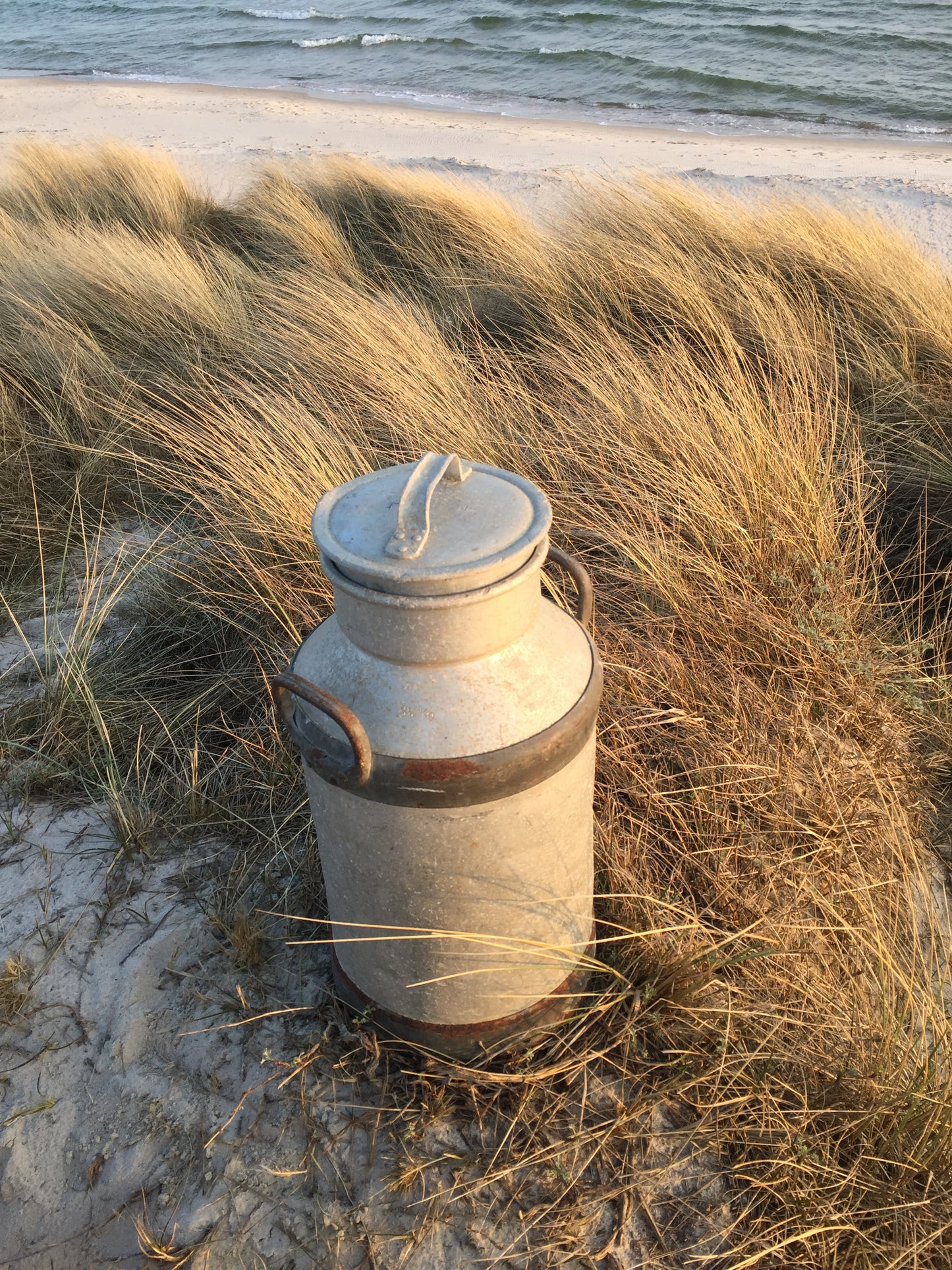 Trevlig och grov gammal mjölkpojke