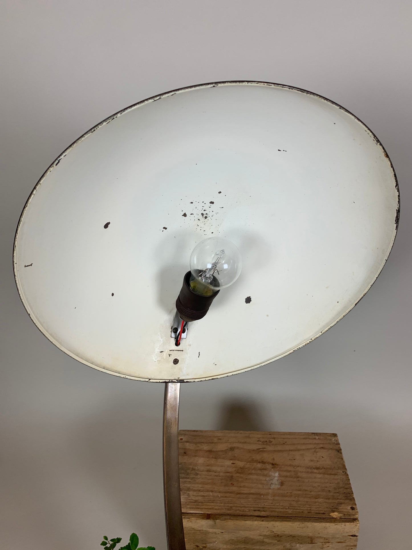 Escolux bordslampa i mörkpolerad mässing