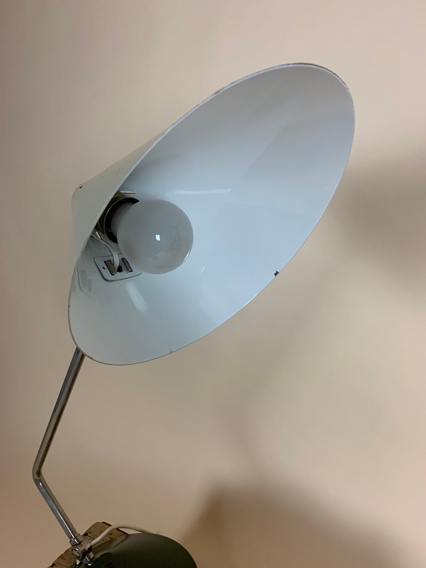 Fin och sällsynt Hala-lampa